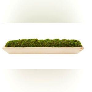 Moss tray